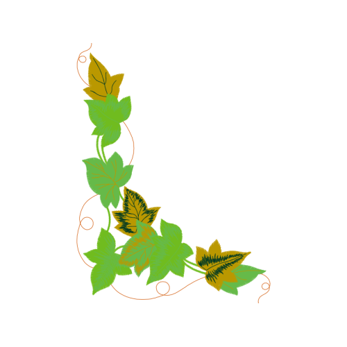 Melanargia Flowers Melanargia Flowers