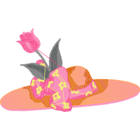 Moth Orchids Flowers