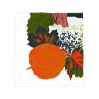 Natural Food Flowers