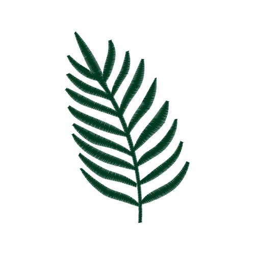 Palms Flowers Palms Flowers