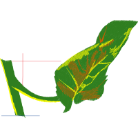 Reptiles Flowers Reptiles Flowers