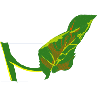 Reptiles Flowers Reptiles Flowers