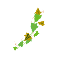 Rosa Glauca Flowers Rosa Glauca Flowers