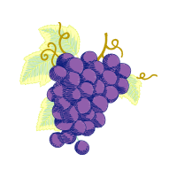 Seedless Fruit Flowers Seedless Fruit Flowers