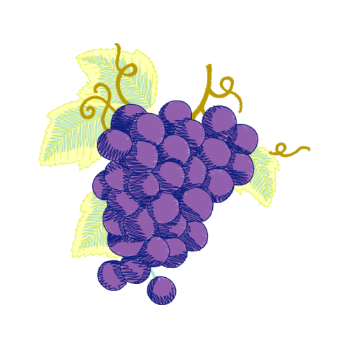 Seedless Fruit Flowers Seedless Fruit Flowers