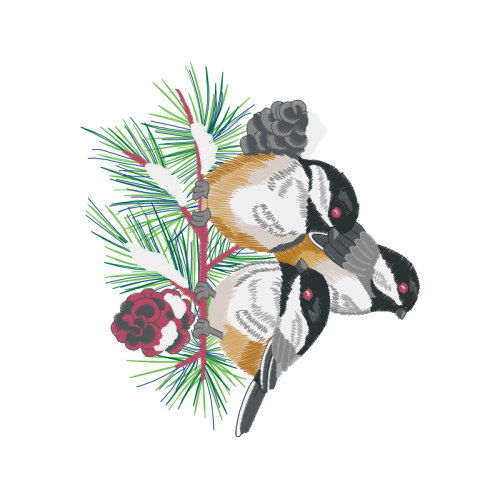 Shortleaf Pine Flowers Shortleaf Pine Flowers