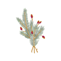 Shortleaf Pine Flowers