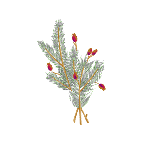 Shortleaf Pine Flowers Shortleaf Pine Flowers