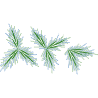 Shortleaf Pine Flowers