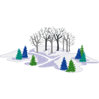 Shortleaf Pine Flowers