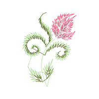 Shortleaf Pine Flowers