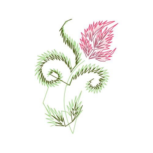 Shortleaf Pine Flowers Shortleaf Pine Flowers