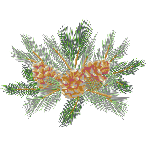 Shortleaf Pine Flowers Shortleaf Pine Flowers