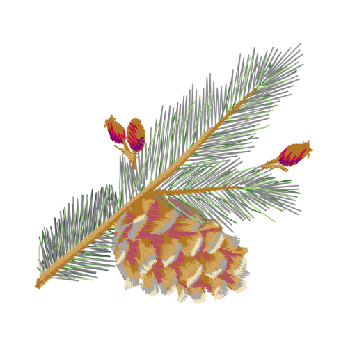 Shortleaf Pine Flowers Shortleaf Pine Flowers