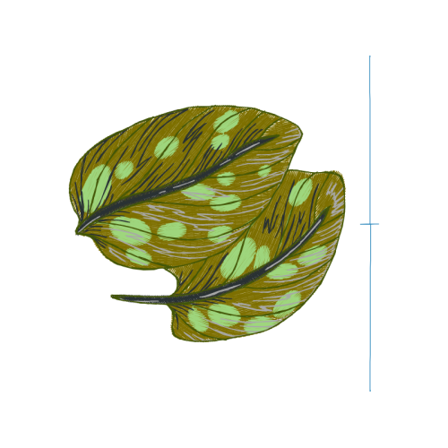 Sketch Flowers Sketch Flowers