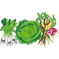 Superfood Flowers Superfood Flowers