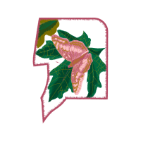 The Arts Flowers The Arts Flowers