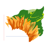 The Arts Flowers The Arts Flowers