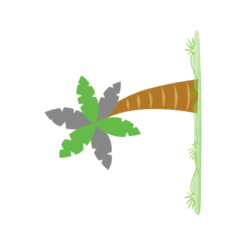 Tree Flowers Tree Flowers