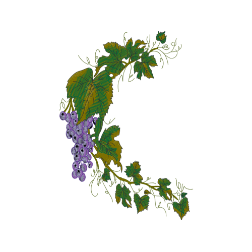 Tree Flowers Tree Flowers