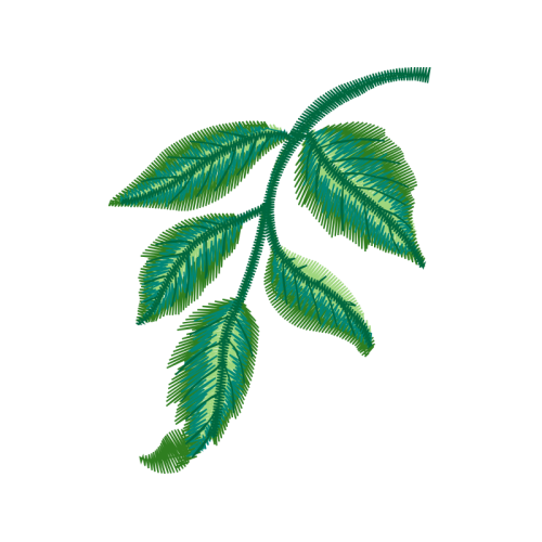 Tree Flowers Tree Flowers