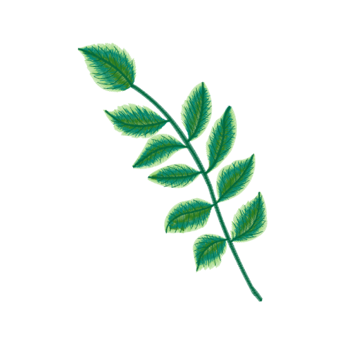 Tree Flowers Tree Flowers