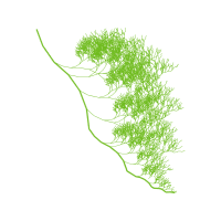 Twig M Flowers Twig M Flowers