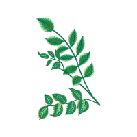 Twig M Flowers Twig M Flowers