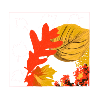 Visual Arts Flowers Visual Arts Flowers