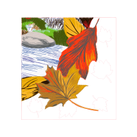 Visual Arts Flowers Visual Arts Flowers