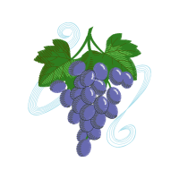 Zante Currant Flowers