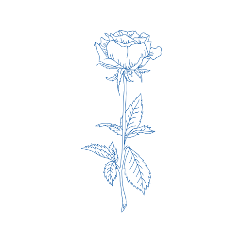 Art Flowers Art Flowers