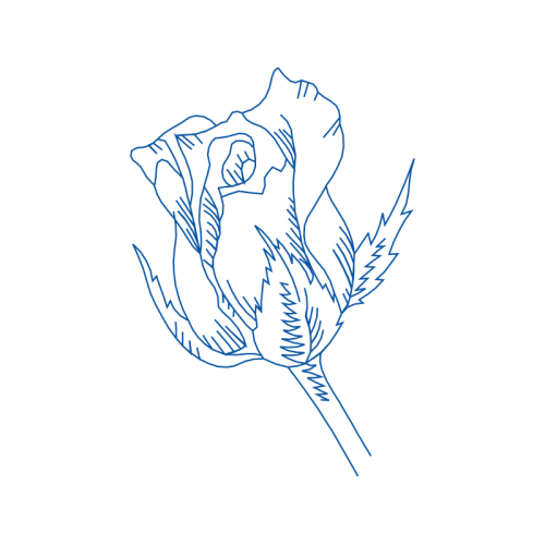 Art Flowers Art Flowers