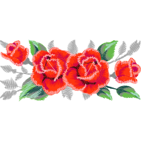 Banksia Flowers Banksia Flowers