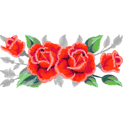 Banksia Flowers Banksia Flowers