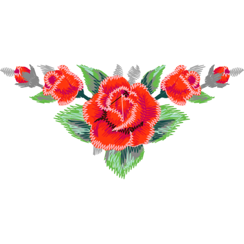 Banksia Flowers Banksia Flowers