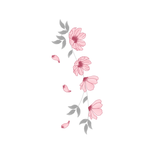 Beach Rose Flowers Beach Rose Flowers