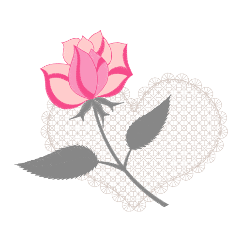 Beach Rose Flowers Beach Rose Flowers