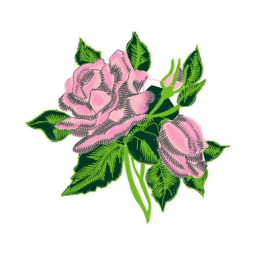 Beach Rose Flowers Beach Rose Flowers