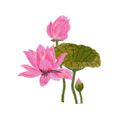 Beach Rose Flowers Beach Rose Flowers