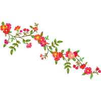 Beach Rose Flowers Beach Rose Flowers