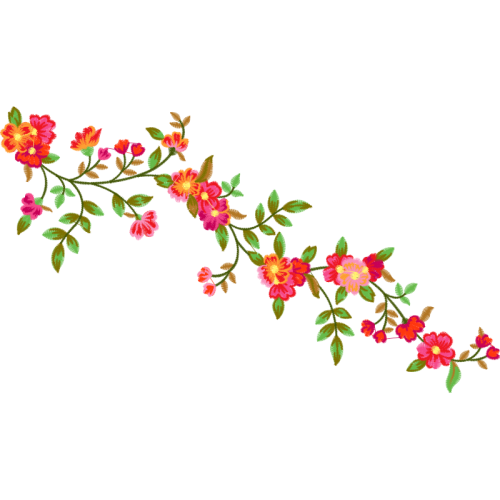 Beach Rose Flowers Beach Rose Flowers