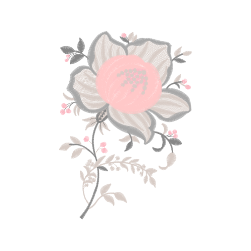 Beach Rose Flowers Beach Rose Flowers