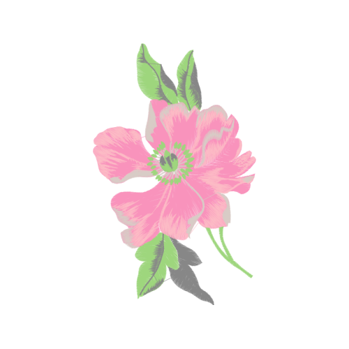 Beach Rose Flowers Beach Rose Flowers