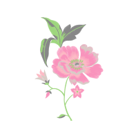 Beach Rose Flowers Beach Rose Flowers