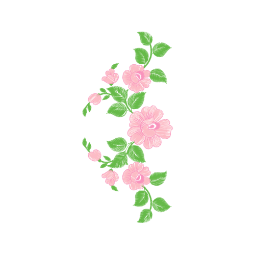 Beach Rose Flowers Beach Rose Flowers