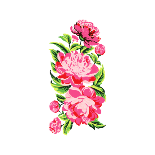 Beach Rose Flowers Beach Rose Flowers