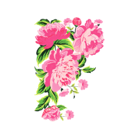 Beach Rose Flowers Beach Rose Flowers