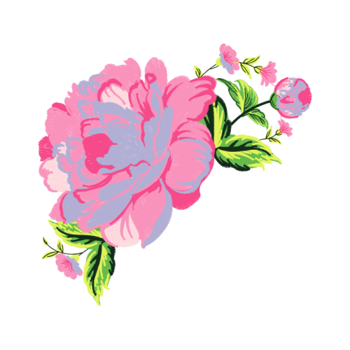 Beach Rose Flowers Beach Rose Flowers