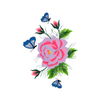 Beach Rose Flowers Beach Rose Flowers